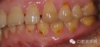 11.webp.jpg 11.webp.jpg