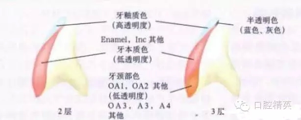 10.webp.jpg 10.webp.jpg