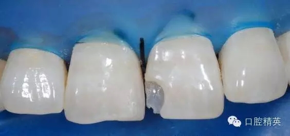 13.webp.jpg 13.webp.jpg