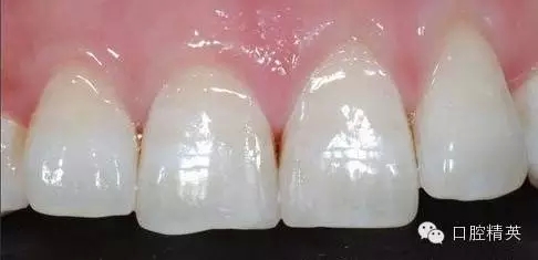 21.webp.jpg 21.webp.jpg