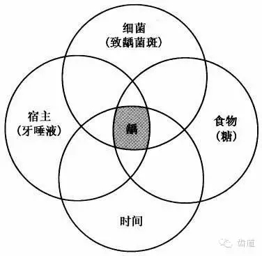 1.webp.jpg 1.webp.jpg