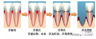 2.webp.jpg 2.webp.jpg