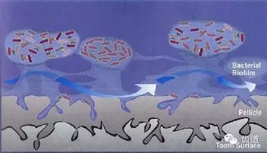 5.webp.jpg 5.webp.jpg