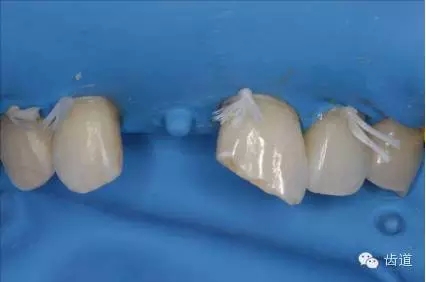 13.webp.jpg 13.webp.jpg