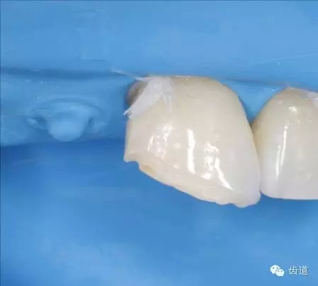 17.webp.jpg 17.webp.jpg