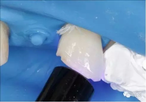 22.webp.jpg 22.webp.jpg