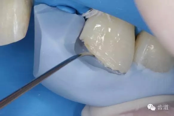 23.webp.jpg 23.webp.jpg