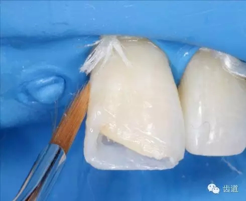 26.webp.jpg 26.webp.jpg