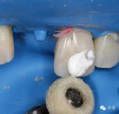 36.webp.jpg 36.webp.jpg