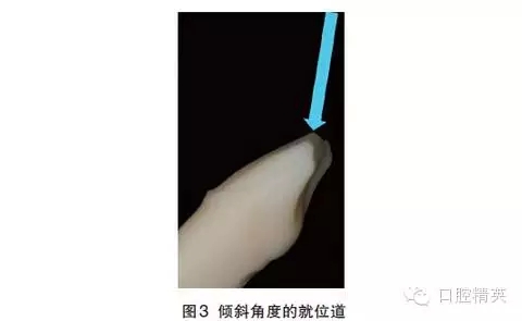 21.webp.jpg 21.webp.jpg