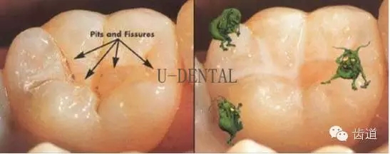 2.webp.jpg 2.webp.jpg