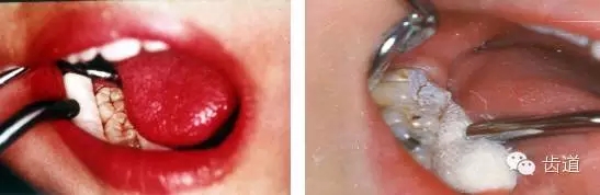 6.webp.jpg 6.webp.jpg