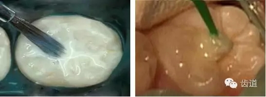 7.webp.jpg 7.webp.jpg