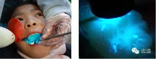 8.webp.jpg 8.webp.jpg