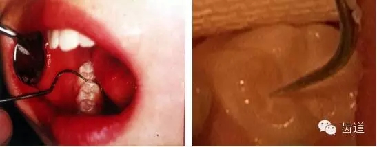 9.webp.jpg 9.webp.jpg