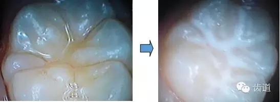 10.webp.jpg 10.webp.jpg