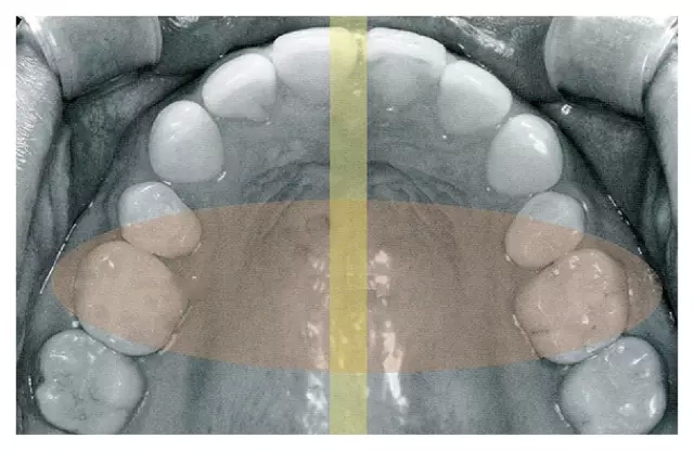 2.webp.jpg 2.webp.jpg