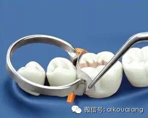 8.webp.jpg 8.webp.jpg