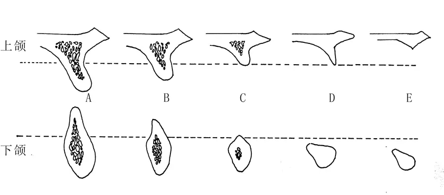 10.webp.jpg 10.webp.jpg