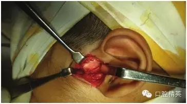 33.webp.jpg 33.webp.jpg