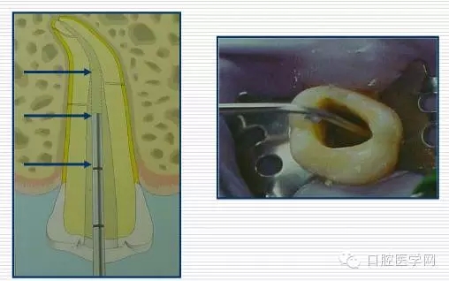 640.webp (6).jpg 640.webp (6).jpg