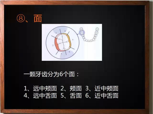 12.webp.jpg 12.webp.jpg