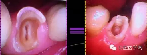 5.webp.jpg 5.webp.jpg