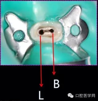 7.webp.jpg 7.webp.jpg