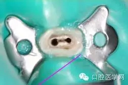 10.webp.jpg 10.webp.jpg