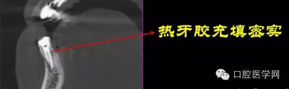 11.webp.jpg 11.webp.jpg