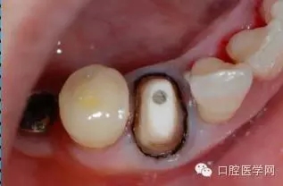 12.webp.jpg 12.webp.jpg