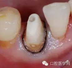 13.webp.jpg 13.webp.jpg