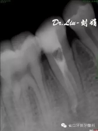 7.webp.jpg 7.webp.jpg