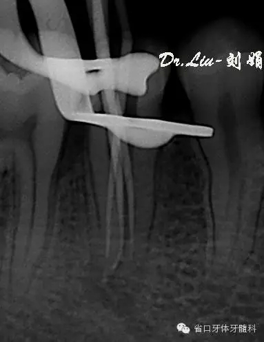 9.webp.jpg 9.webp.jpg