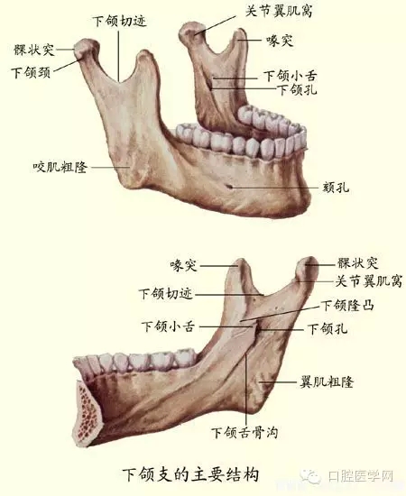 3.webp.jpg 3.webp.jpg
