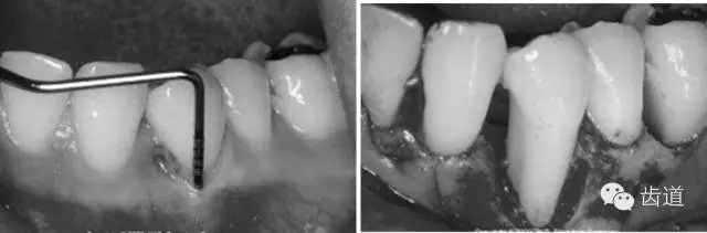 21.webp.jpg 21.webp.jpg