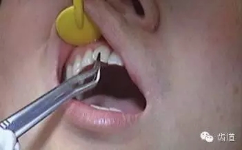 4.webp.jpg 4.webp.jpg