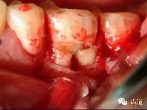 7.webp.jpg 7.webp.jpg