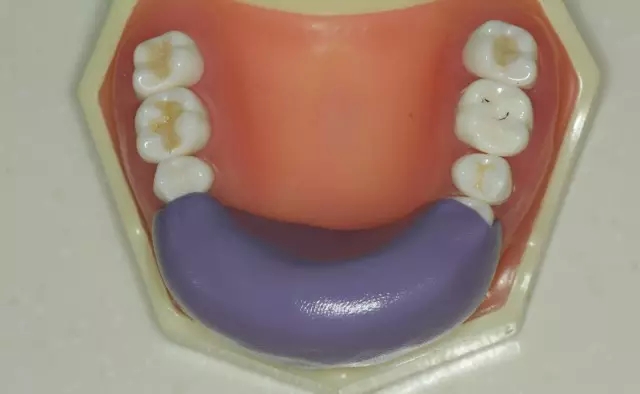 3.webp.jpg 3.webp.jpg