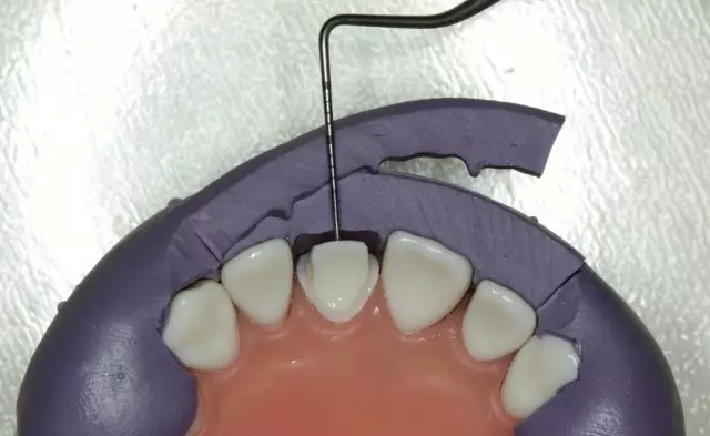 16.webp.jpg 16.webp.jpg