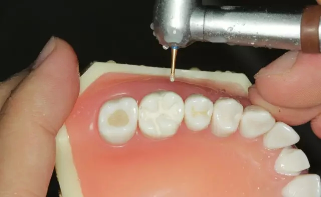 23.webp.jpg 23.webp.jpg