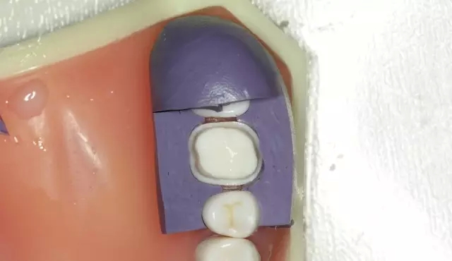 27.webp.jpg 27.webp.jpg