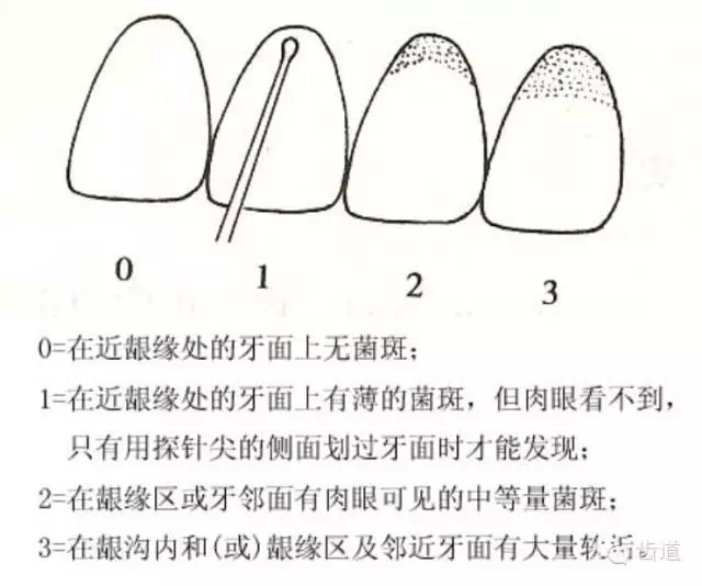 1.webp.jpg 1.webp.jpg