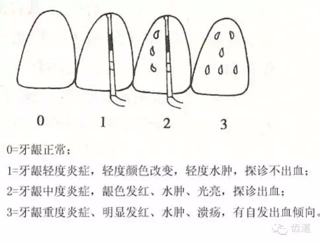 4.webp.jpg 4.webp.jpg