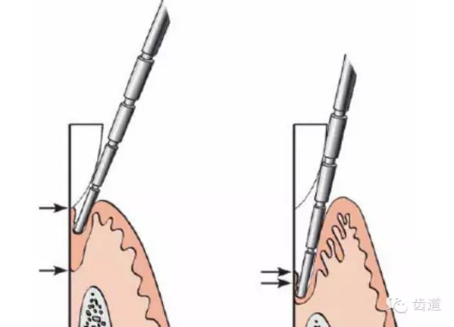 10.webp.jpg 10.webp.jpg
