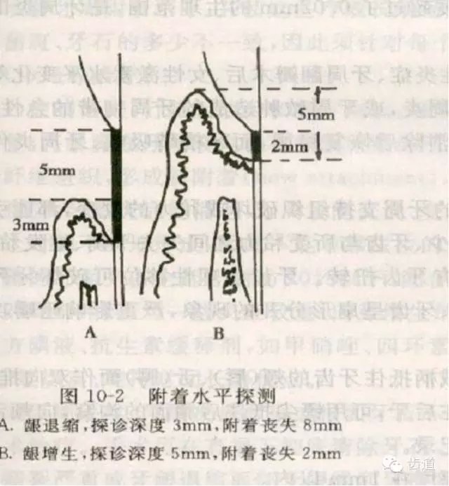 11.webp.jpg 11.webp.jpg