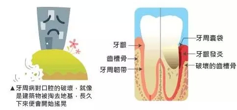 1.webp.jpg 1.webp.jpg