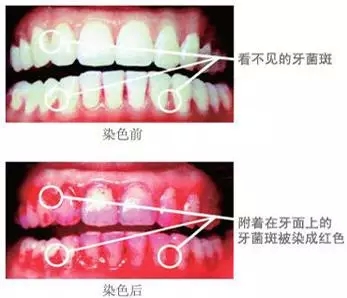 2.webp.jpg 2.webp.jpg