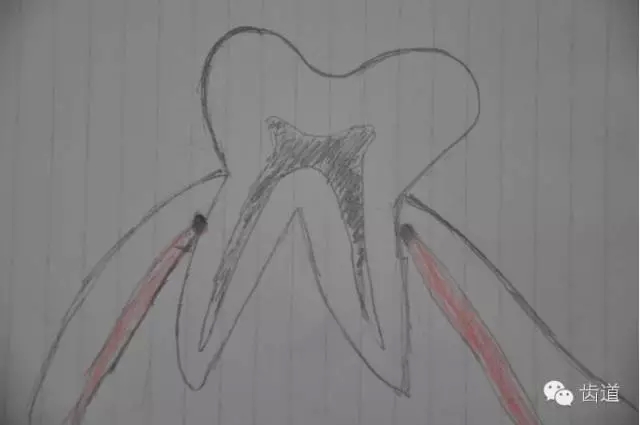 41.webp.jpg 41.webp.jpg