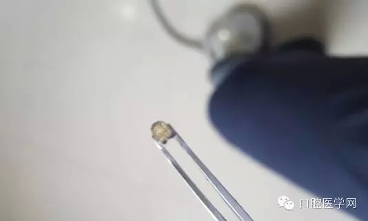 300.webp (1).jpg 300.webp (1).jpg